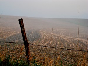 Benson Penrod Tree Farm