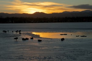 Sloan's Lake Denver